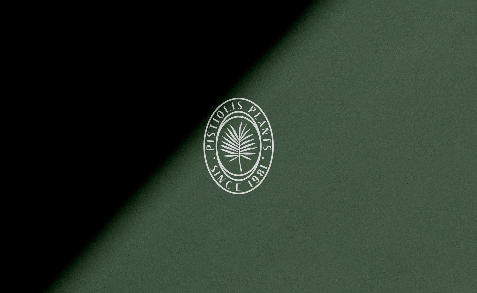 pistiolis ανθοπωλείο λογότυπο